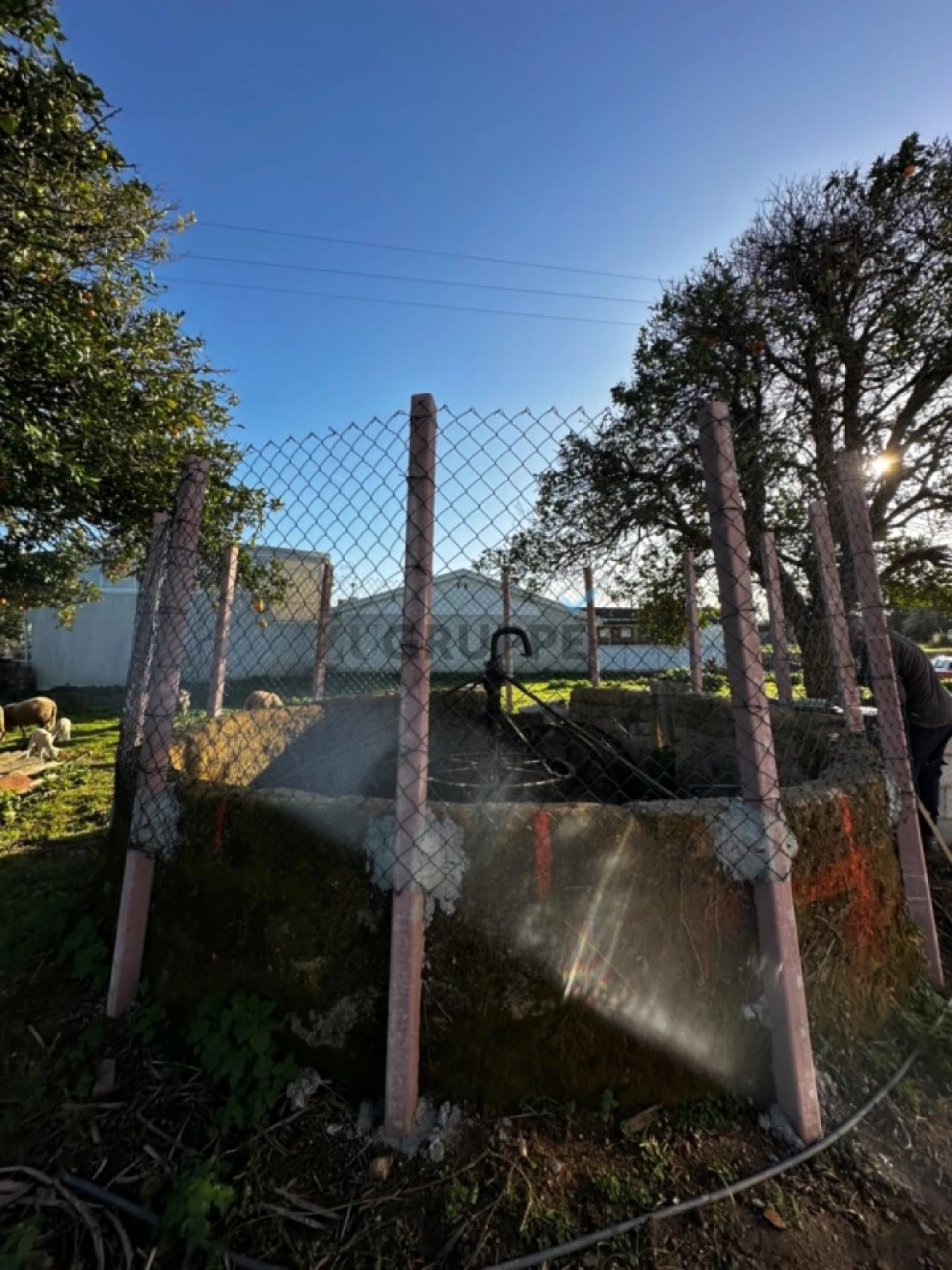 Moradia T3 para Venda em Bustos, Troviscal e Mamarrosa Foto 26