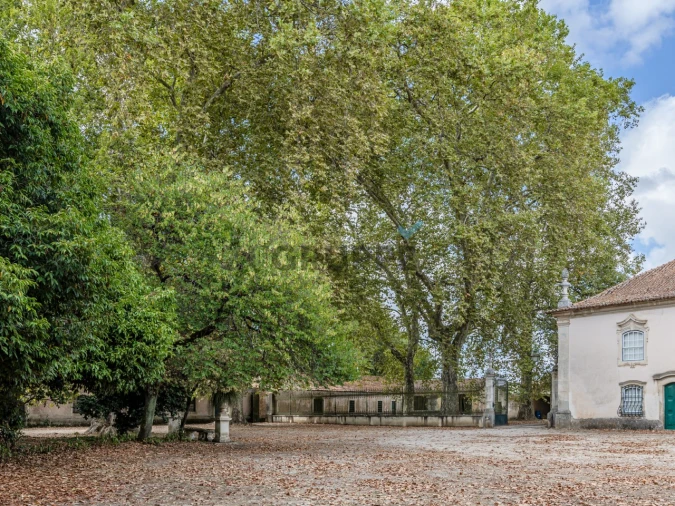 Moradia T13 para Venda em Arcos e Mogofores Foto 75