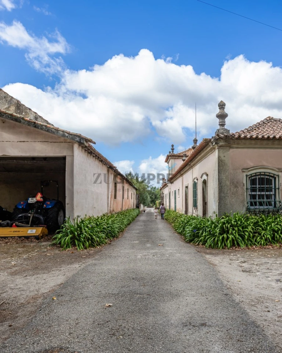 Moradia T13 para Venda em Arcos e Mogofores Foto 77