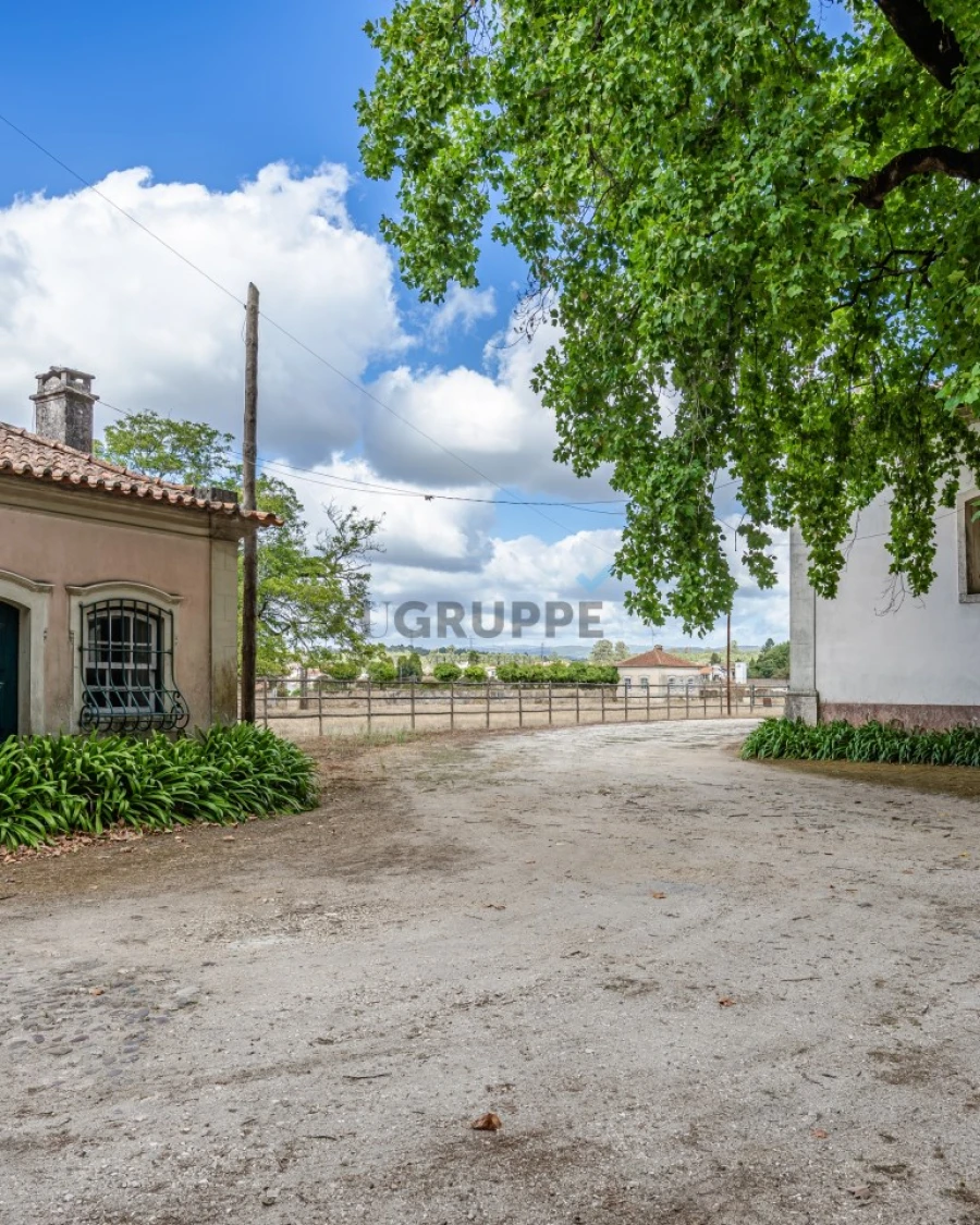 Moradia T13 para Venda em Arcos e Mogofores Foto 78