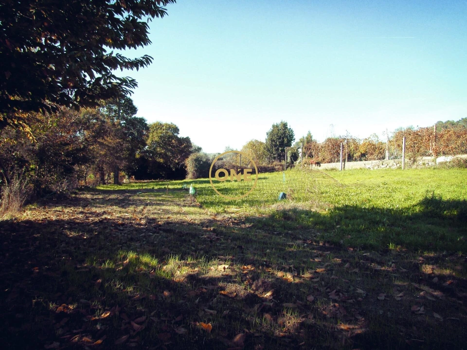 Moradia T3 para Venda em Este (São Pedro e São Mamede) Foto 10