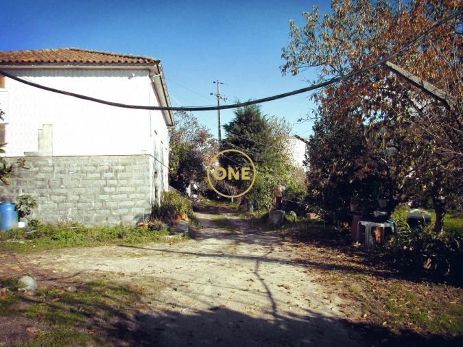 Terreno para Venda em Este (São Pedro e São Mamede) Foto 6