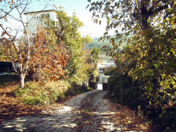Terreno para Venda em Este (São Pedro e São Mamede) Foto 7