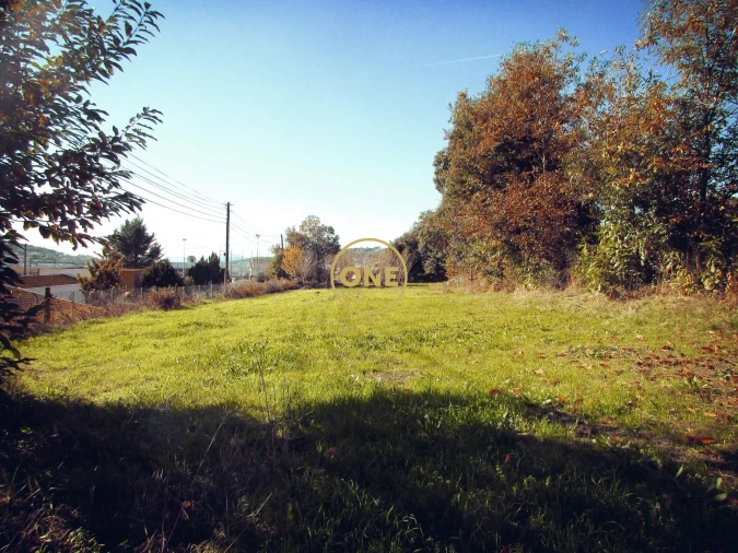 Terreno para Venda em Este (São Pedro e São Mamede) Foto 14