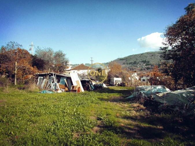 Terreno para Venda em Este (São Pedro e São Mamede) Foto 5
