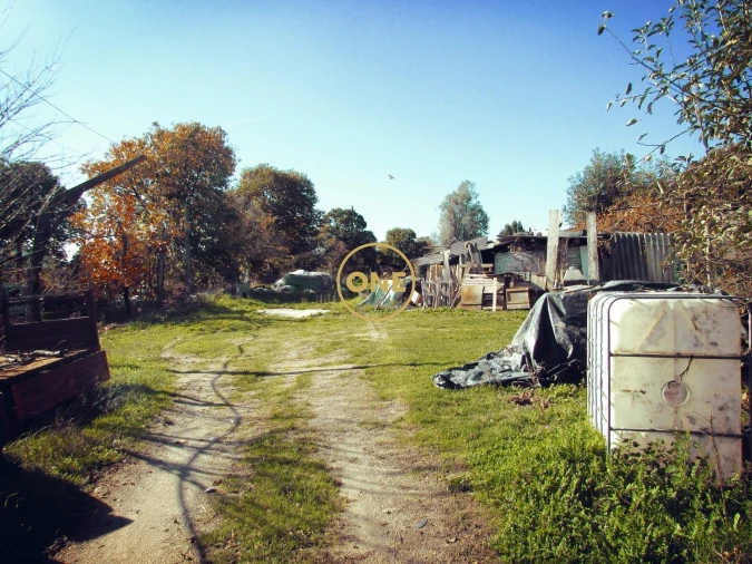 Terreno para Venda em Este (São Pedro e São Mamede) Foto 17
