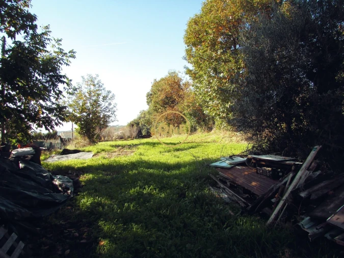 Terreno para Venda em Este (São Pedro e São Mamede) Foto 15