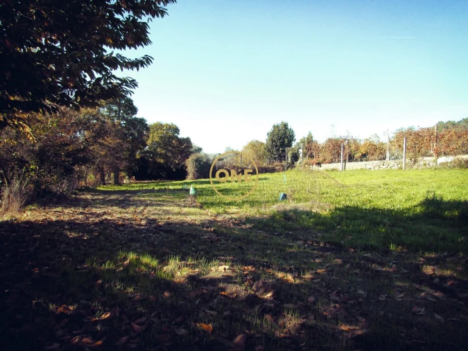 Terreno para Venda em Este (São Pedro e São Mamede) Foto 4