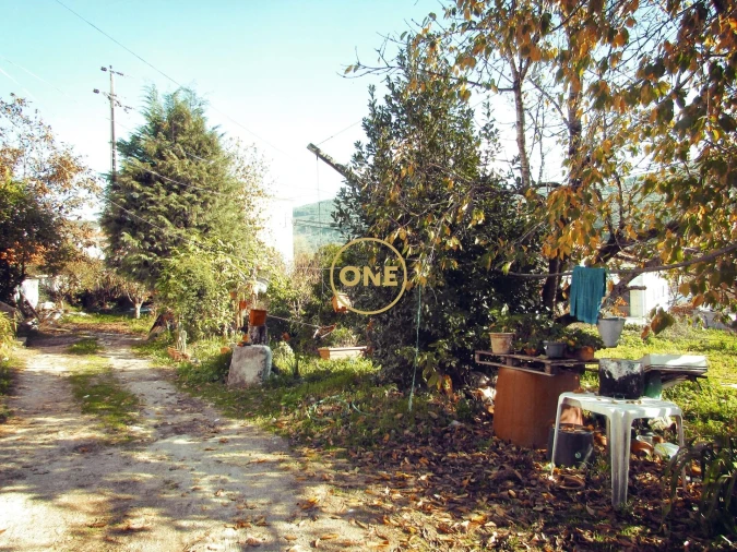 Terreno para Venda em Este (São Pedro e São Mamede) Foto 19