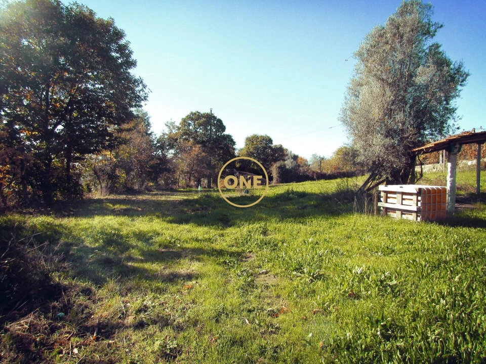 Moradia T3 para Venda em Este (São Pedro e São Mamede) Foto 3