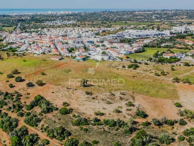 Terreno para Venda em Guia Foto 17