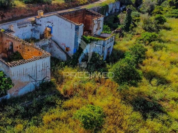 Terreno para Venda em Guia Foto 19