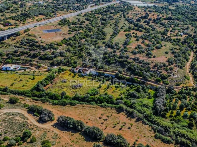Terreno para Venda em Guia Foto 13