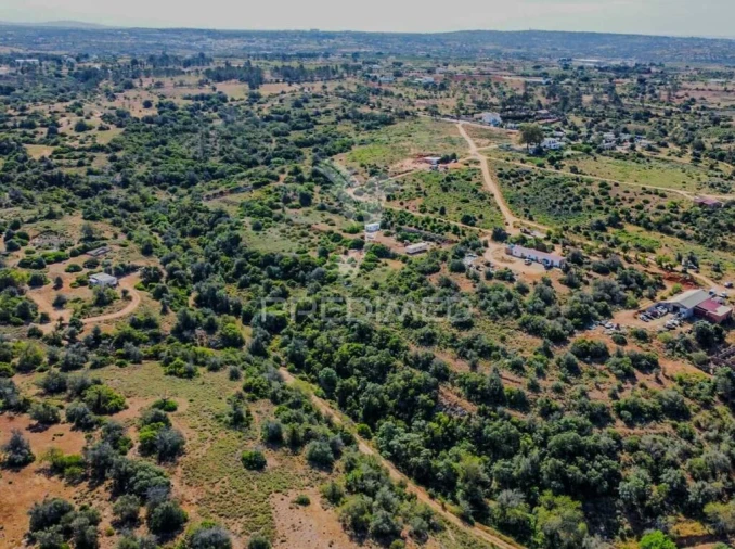 Terreno para Venda em Guia Foto 14