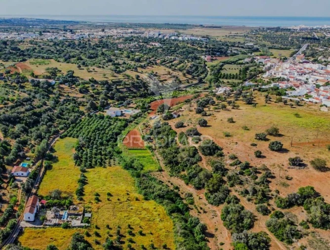 Terreno para Venda em Guia Foto 16
