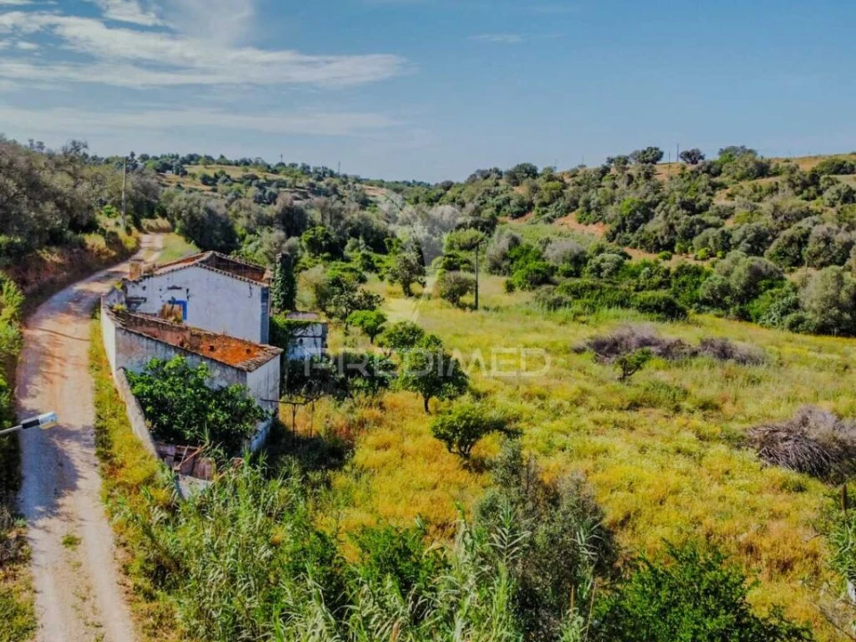 Terreno para Venda em Guia Foto 5