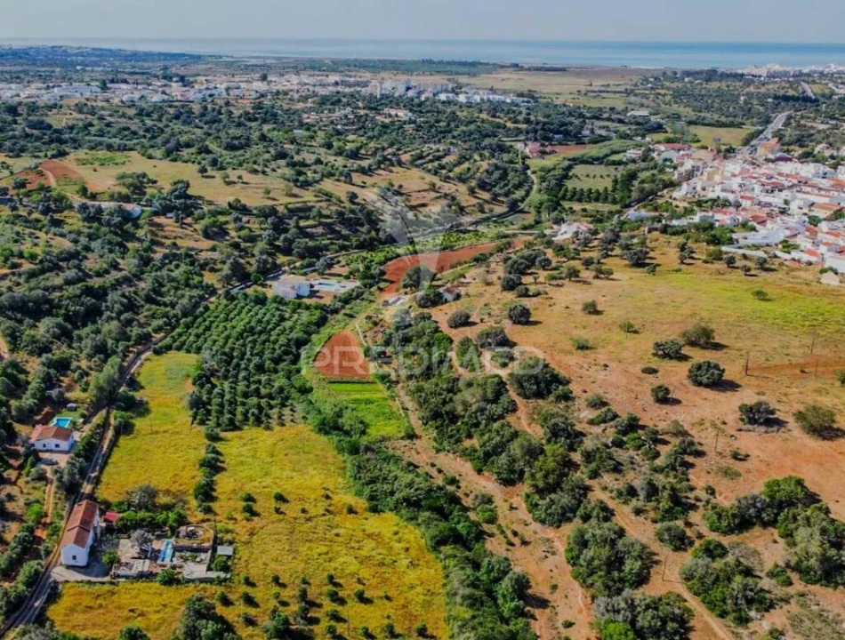 Terreno para Venda em Guia Foto 16