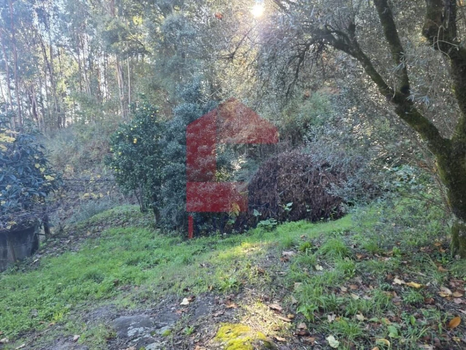 Terreno para Venda em Ribeira do Neiva Foto 25