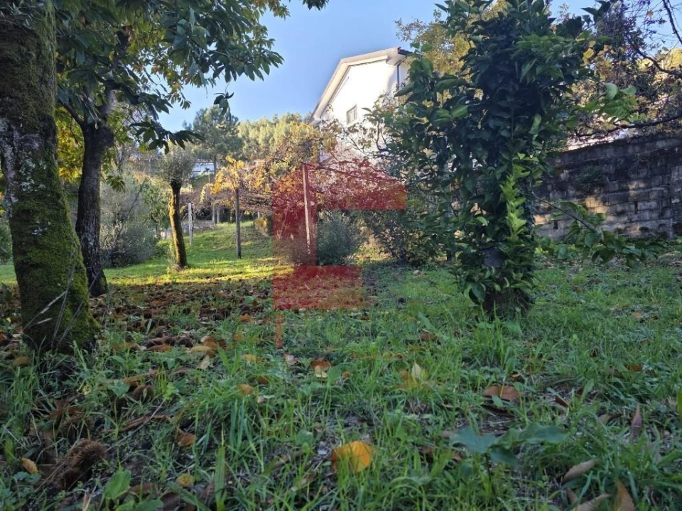 Terreno para Venda em Ribeira do Neiva Foto 3