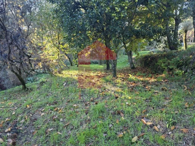 Terreno para Venda em Ribeira do Neiva Foto 19