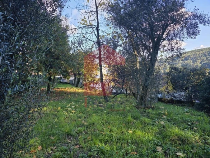Terreno para Venda em Ribeira do Neiva Foto 13
