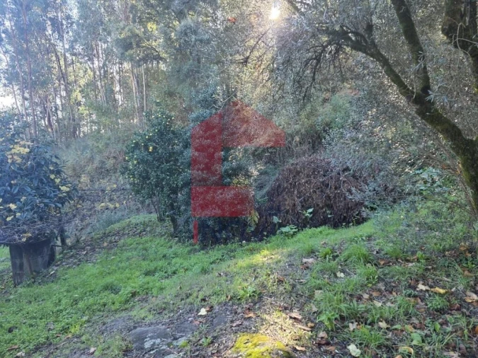 Terreno para Venda em Ribeira do Neiva Foto 32