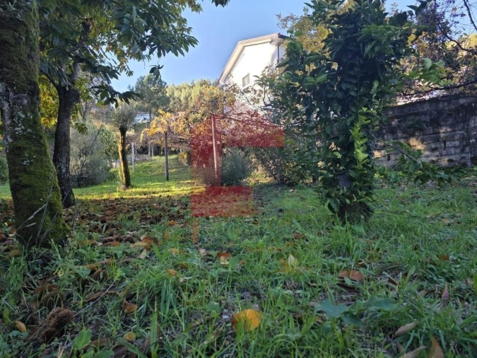 Terreno para Venda em Ribeira do Neiva Foto 3