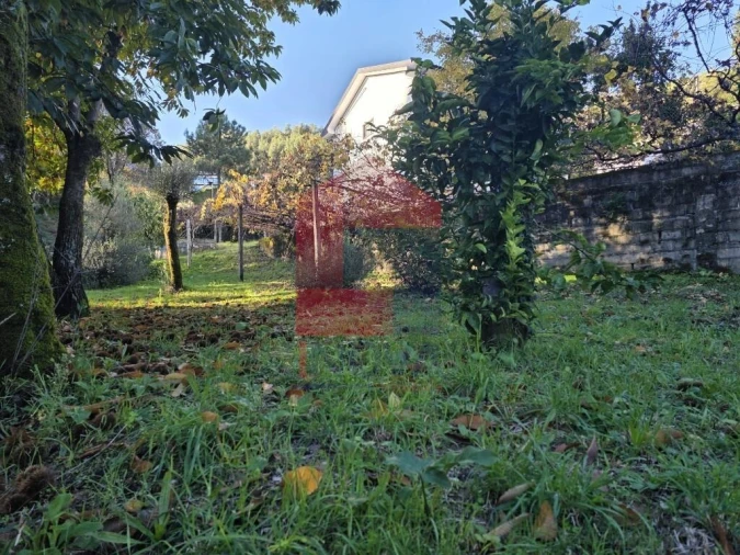 Terreno para Venda em Ribeira do Neiva Foto 7