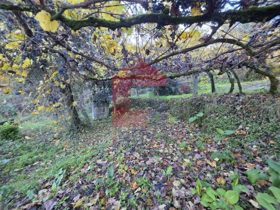 Terreno para Venda em Ribeira do Neiva Foto 31