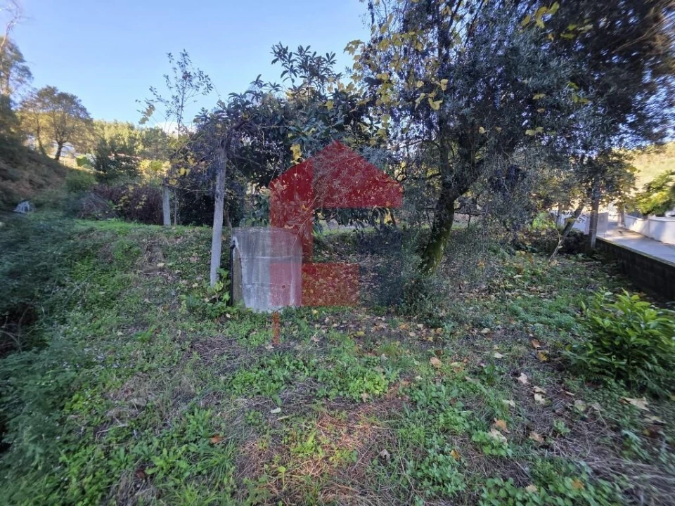 Terreno para Venda em Ribeira do Neiva Foto 2