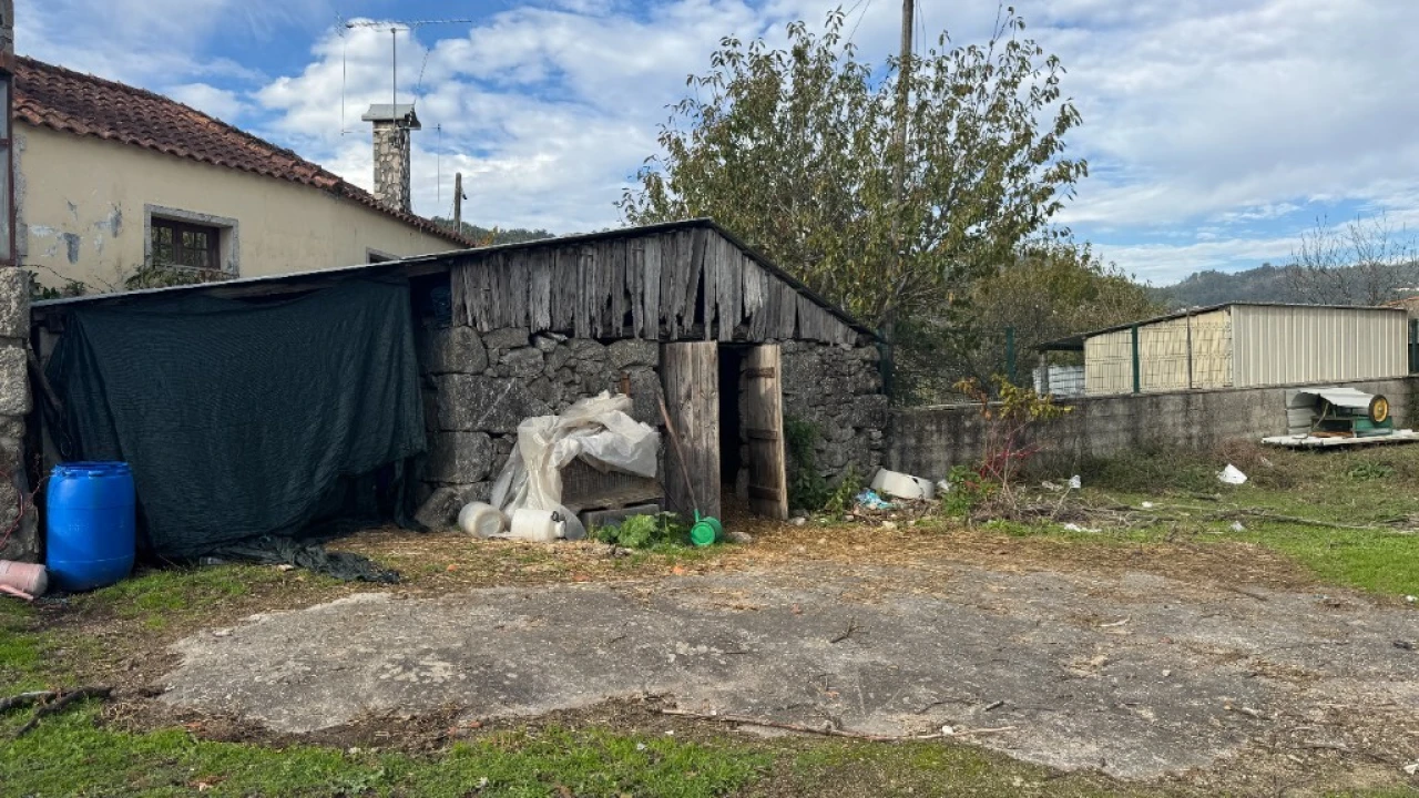 Terreno para Venda em Jolda (Madalena) e Rio Cabrão Foto 8