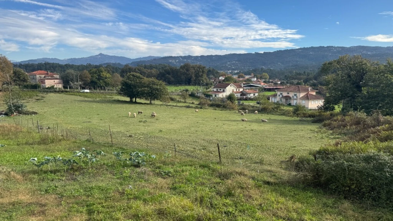 Terreno para Venda em Jolda (Madalena) e Rio Cabrão Foto 6