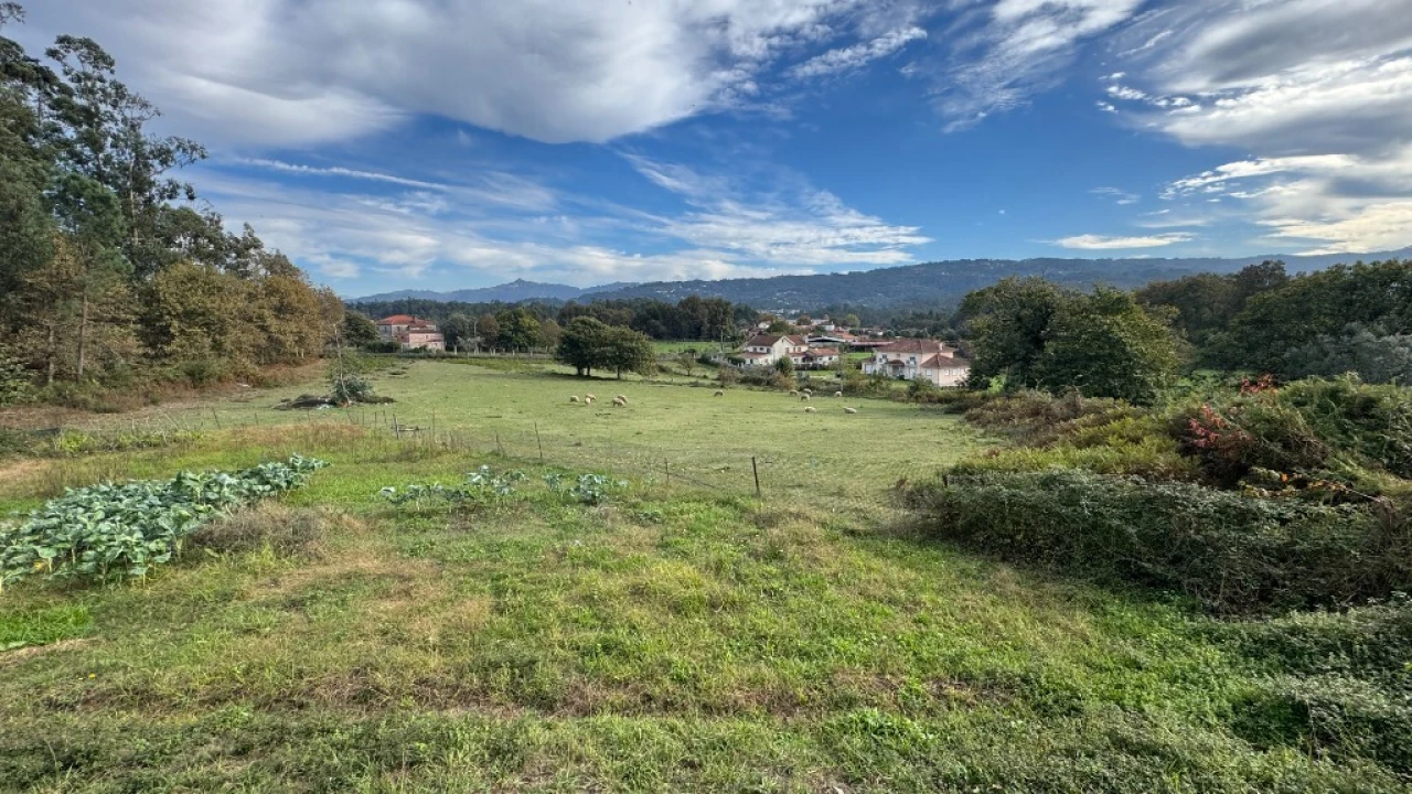 Terreno para Venda em Jolda (Madalena) e Rio Cabrão Foto 2