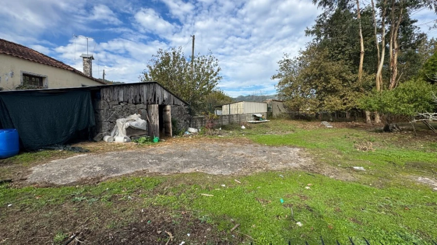Terreno para Venda em Jolda (Madalena) e Rio Cabrão Foto 9
