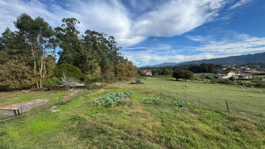 Terreno para Venda em Jolda (Madalena) e Rio Cabrão Foto 5