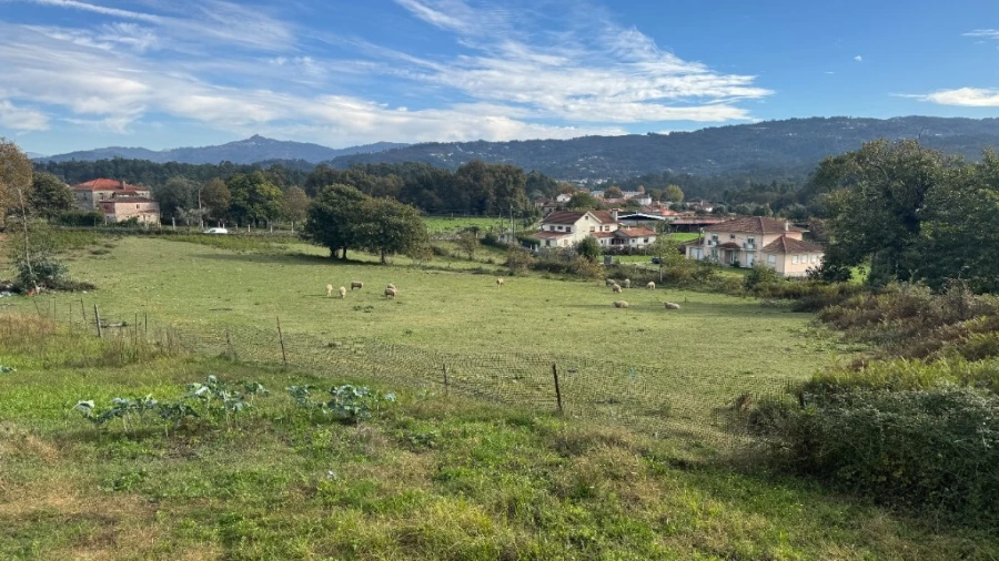 Terreno para Venda em Jolda (Madalena) e Rio Cabrão Foto 6