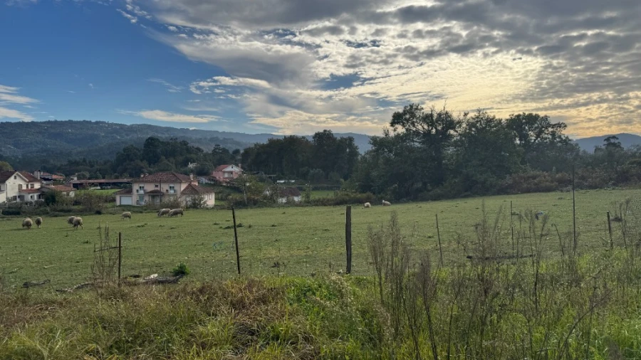 Terreno para Venda em Jolda (Madalena) e Rio Cabrão Foto 14