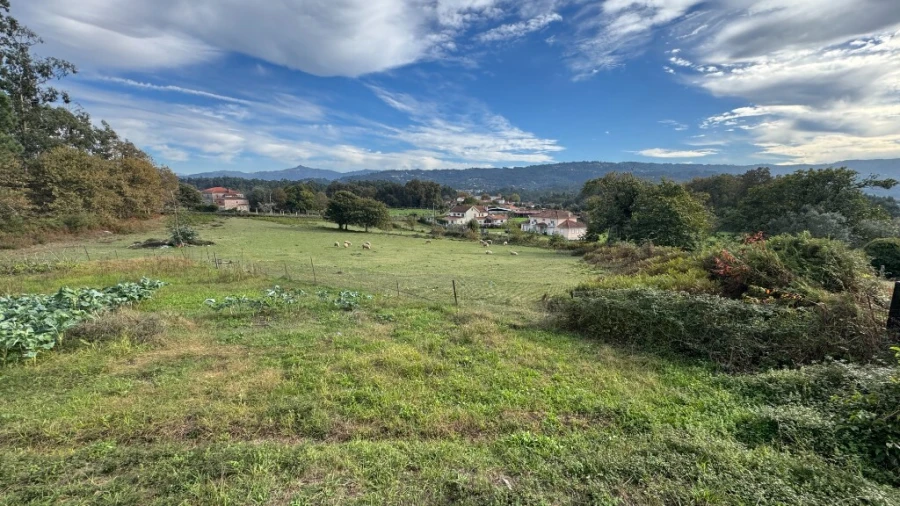 Terreno para Venda em Jolda (Madalena) e Rio Cabrão Foto 4