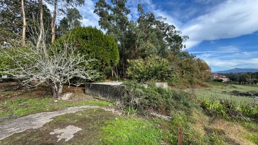 Terreno para Venda em Jolda (Madalena) e Rio Cabrão Foto 11