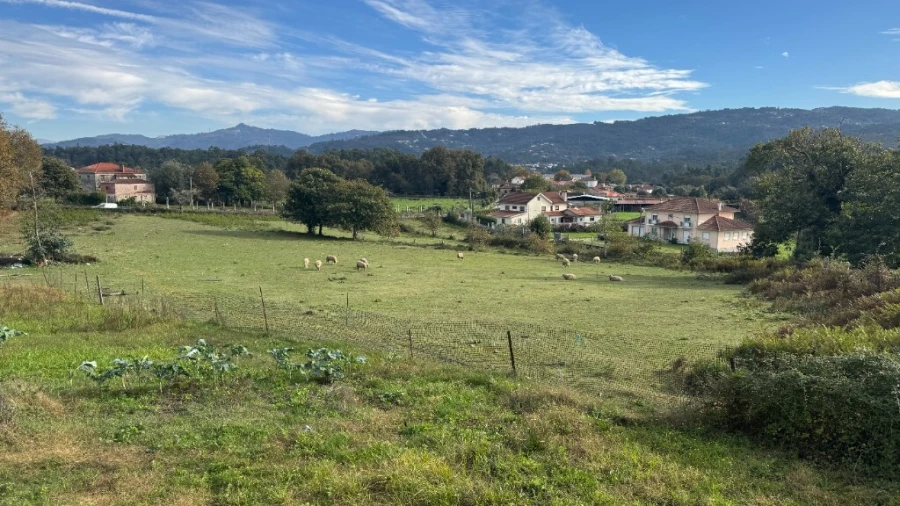 Terreno para Venda em Jolda (Madalena) e Rio Cabrão Foto 7