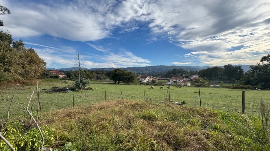 Terreno para Venda em Jolda (Madalena) e Rio Cabrão Foto 12