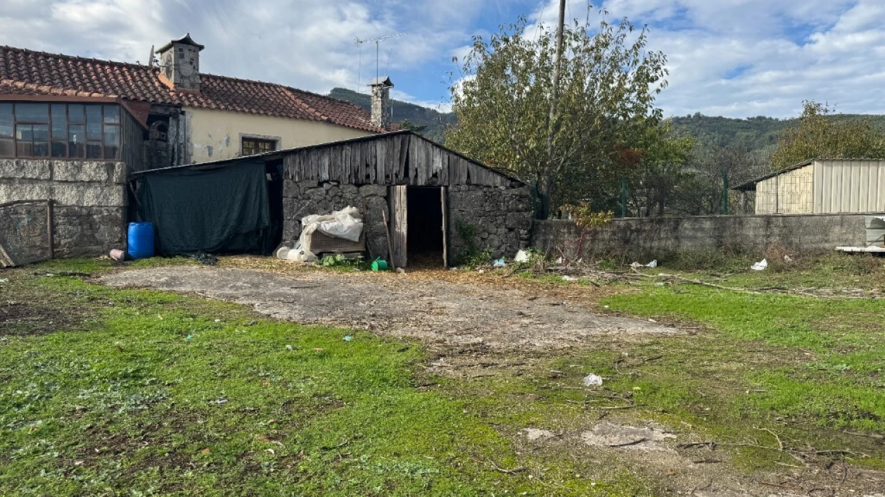 Terreno para Venda em Jolda (Madalena) e Rio Cabrão Foto 10