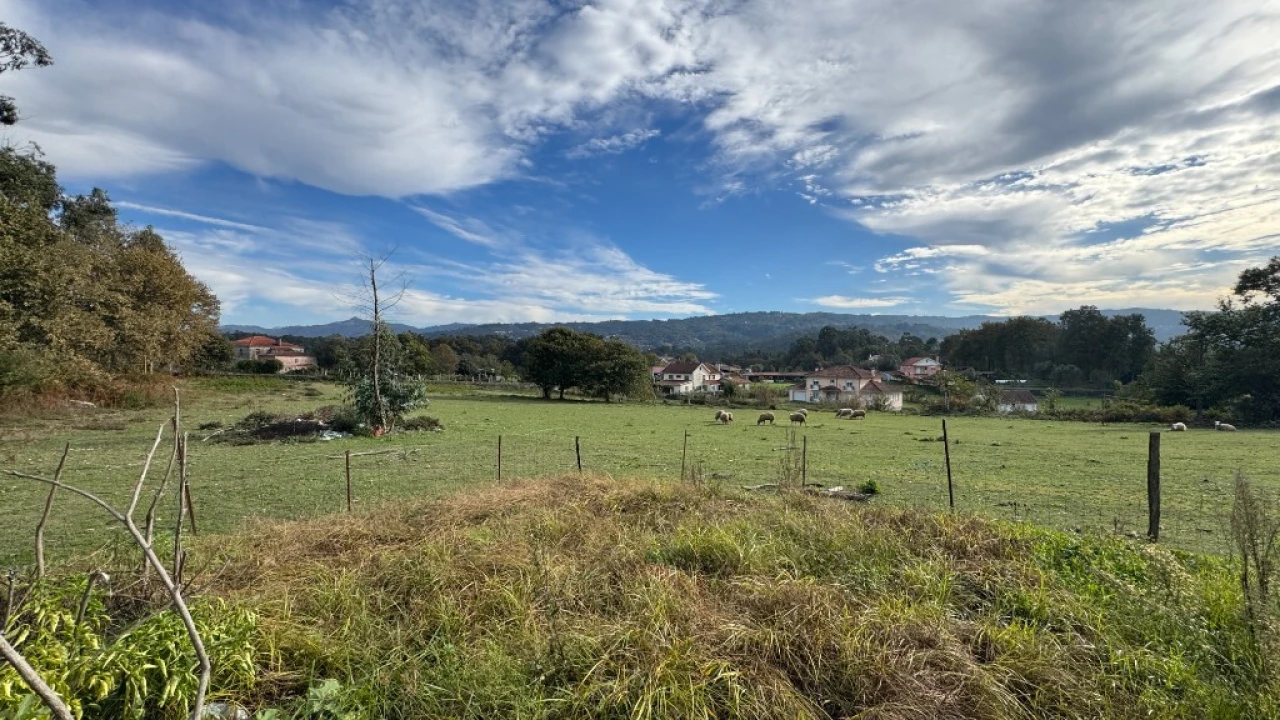 Terreno para Venda em Jolda (Madalena) e Rio Cabrão Foto 12