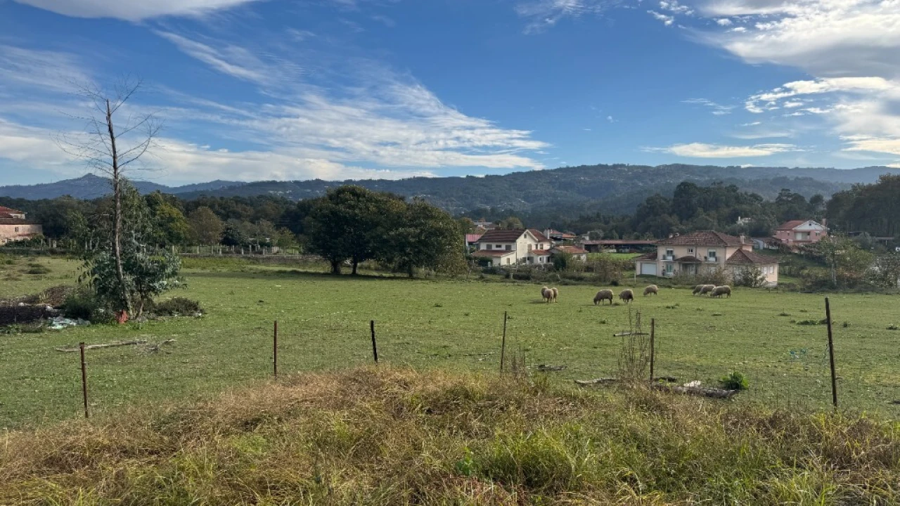 Terreno para Venda em Jolda (Madalena) e Rio Cabrão Foto 13