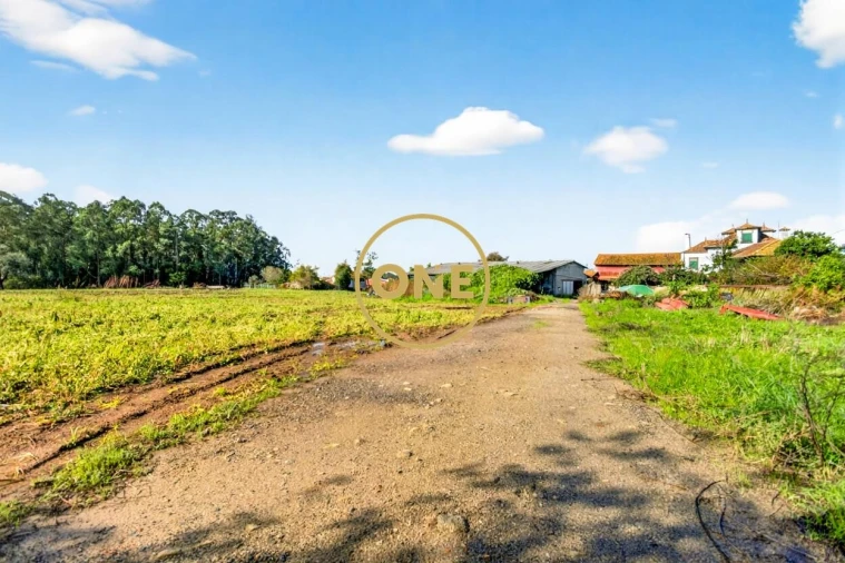 Quinta T3 para Venda em Castêlo da Maia Foto 13