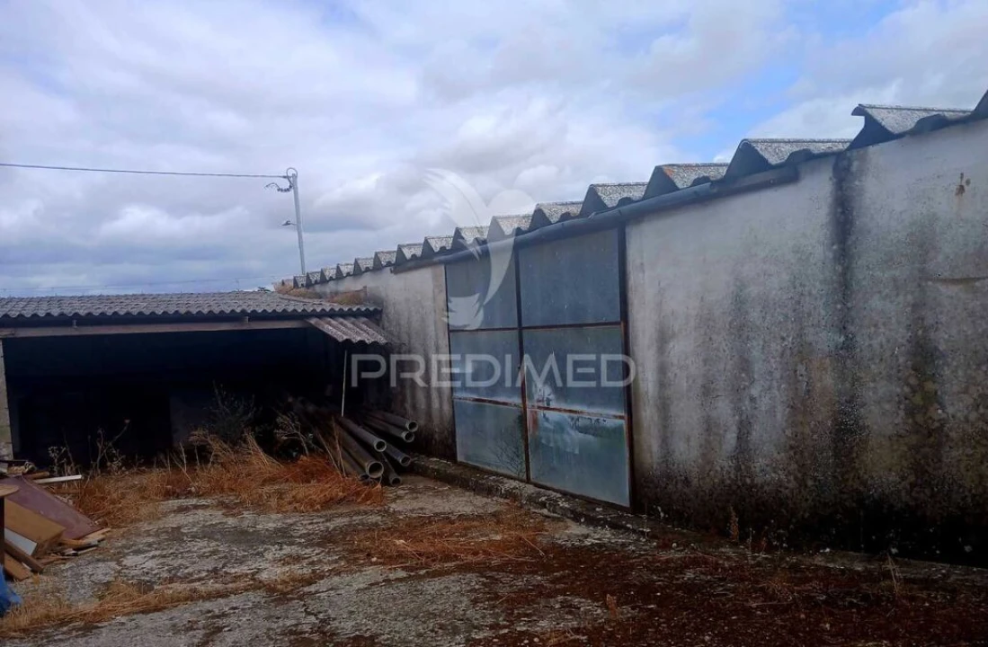 Armazém para Venda em Nossa Senhora das Neves Foto 9