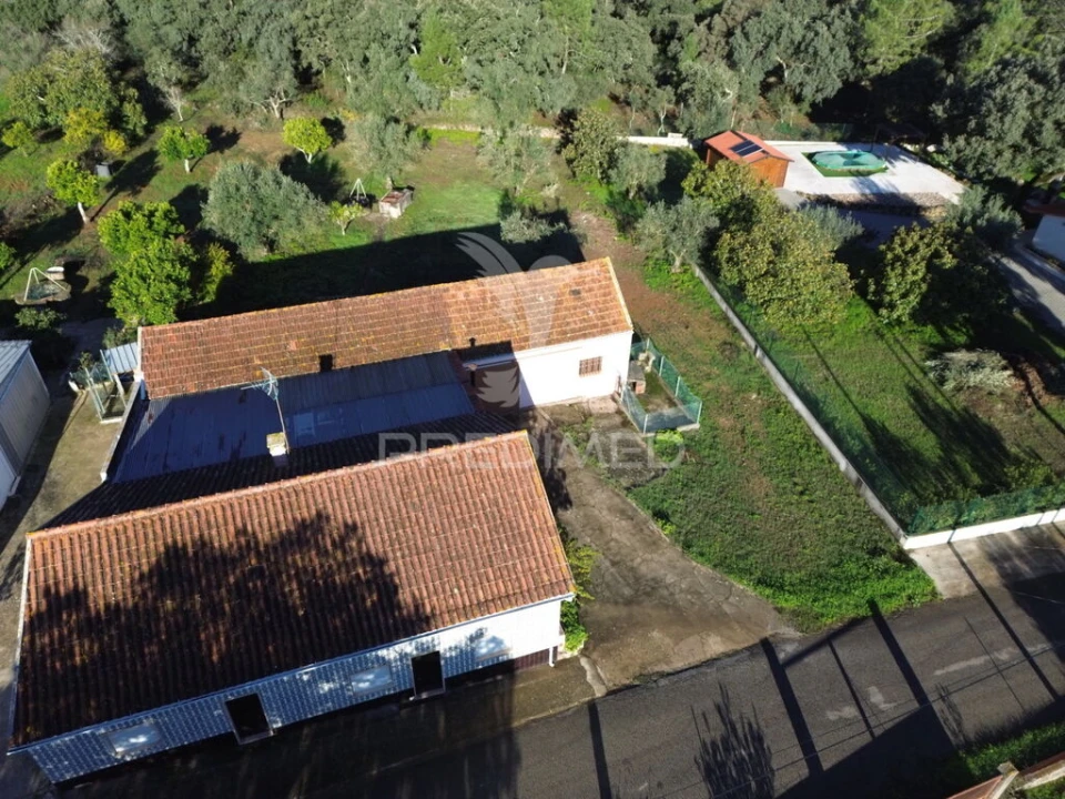 Moradia T3 para Venda em Brogueira, Parceiros de Igreja e Alcorochel Foto 4