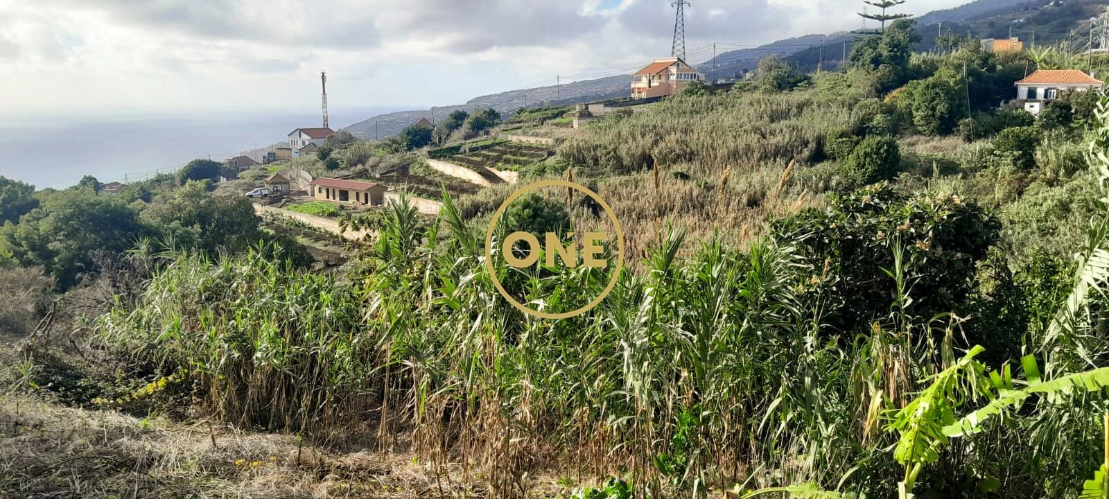 Terreno para Venda em Ribeira Brava Foto 2