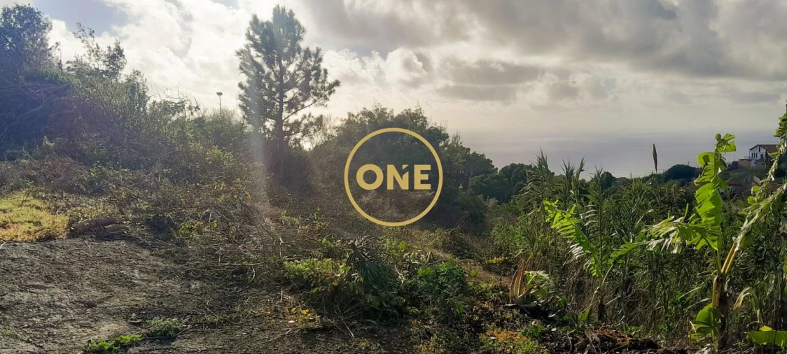 Terreno para Venda em Ribeira Brava Foto 10