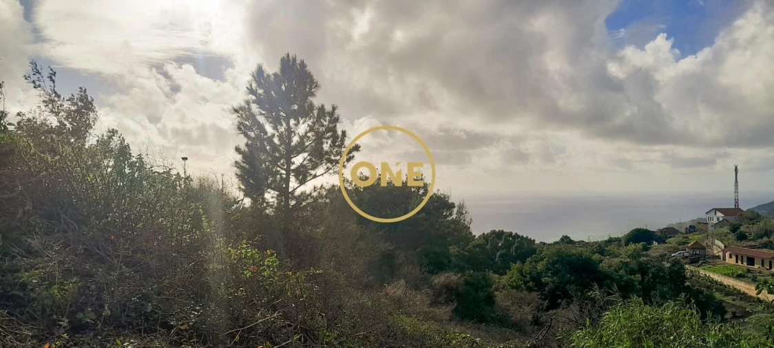 Terreno para Venda em Ribeira Brava Foto 4